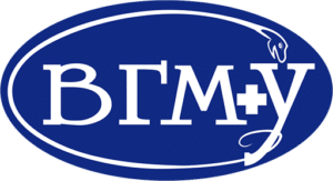 Vitebsk State Medical University Logo